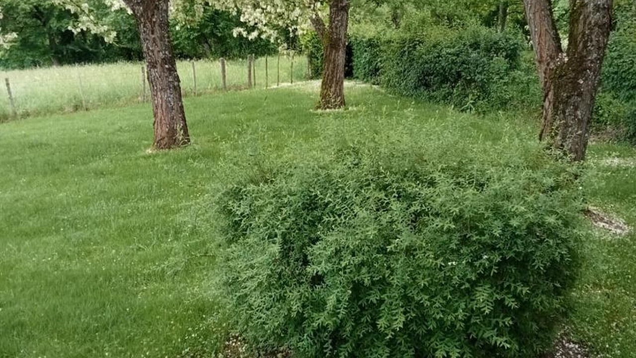 Photo of Outdoor in Saint-Marcel-du-Perigord