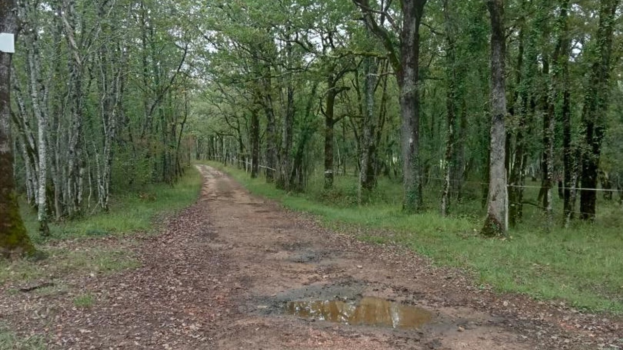 Photo of Others in Saint-Marcel-du-Perigord