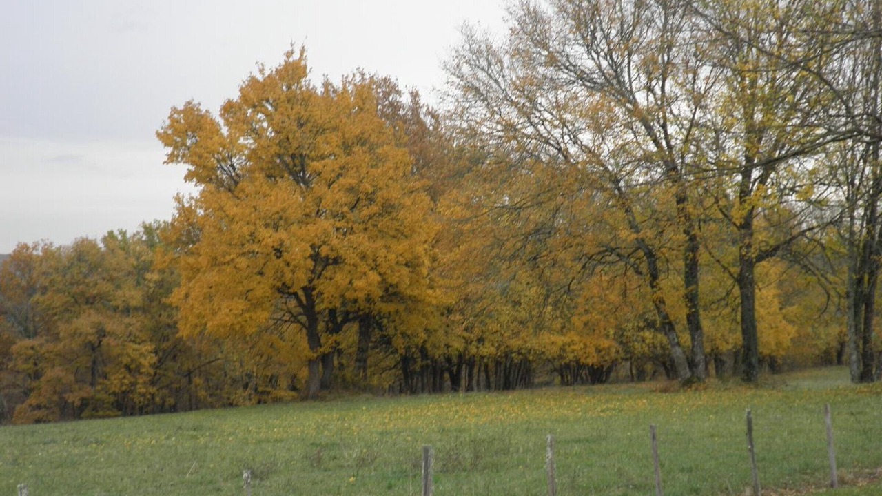 Photo of Others in Saint-Marcel-du-Perigord