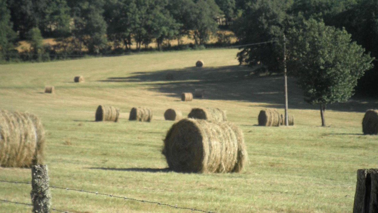 Photo of Others in Saint-Marcel-du-Perigord