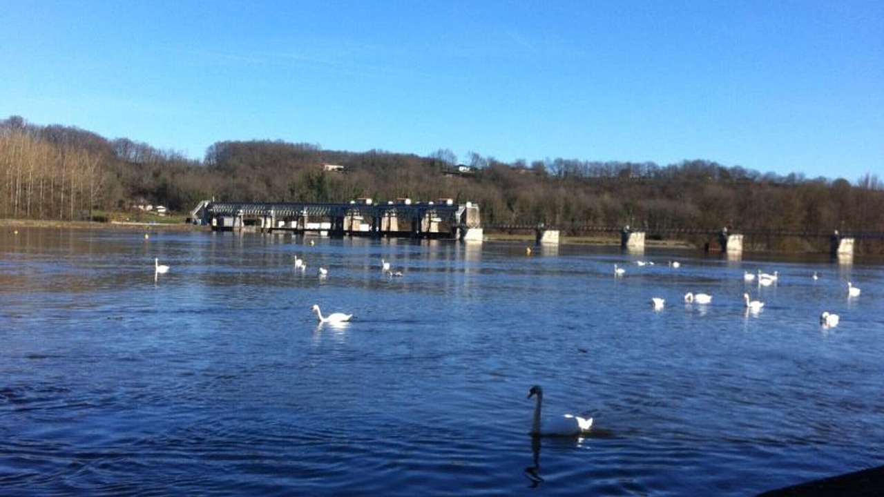 Photo of Others in Mauzac-et-Grand-Castang