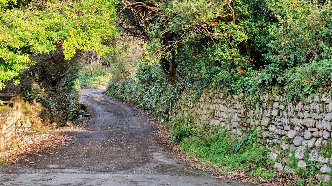 Photo of Others in Saint Erth Praze