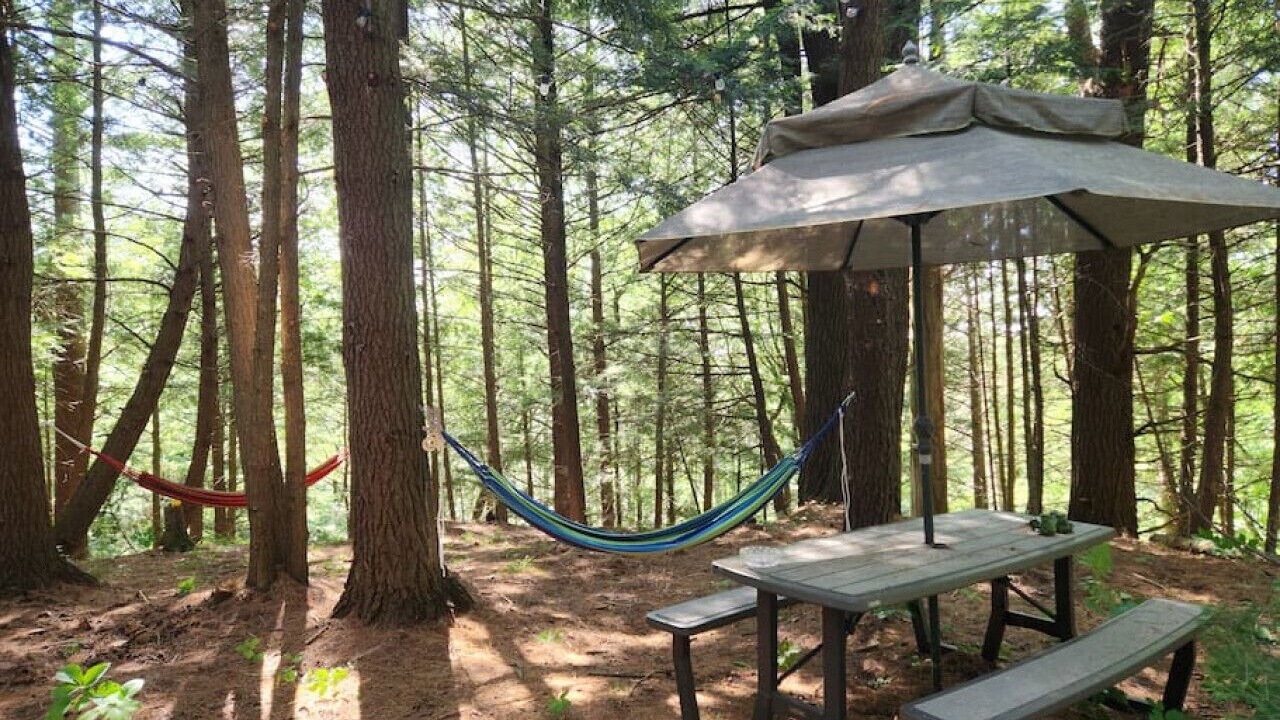 Photo of Outdoor in Bracebridge