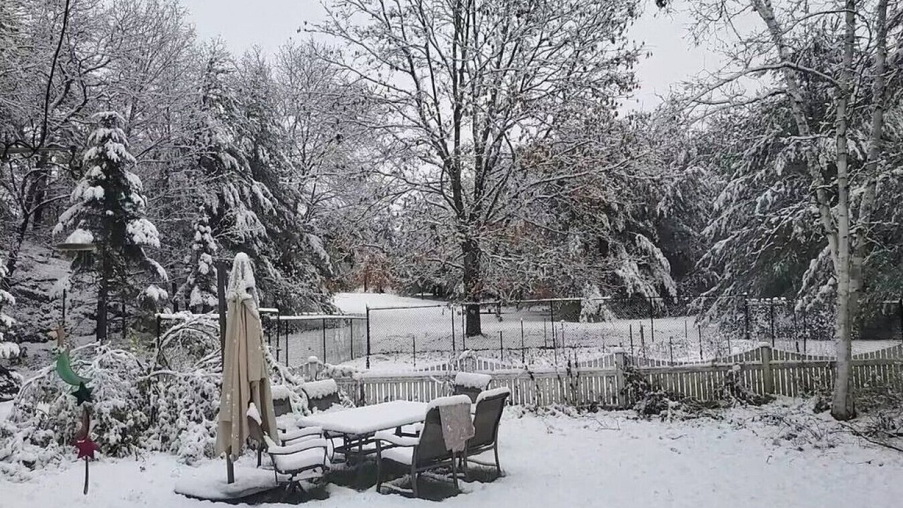 Photo of Outdoor in Bracebridge