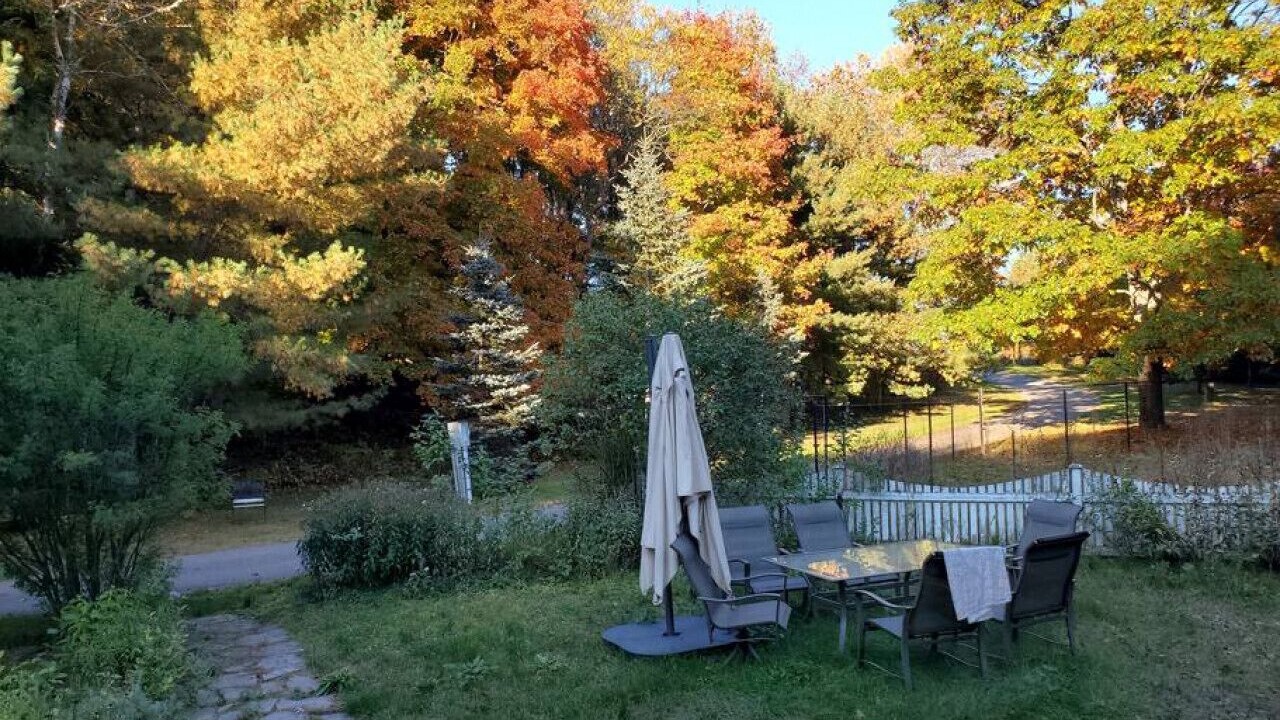 Photo of Outdoor in Bracebridge