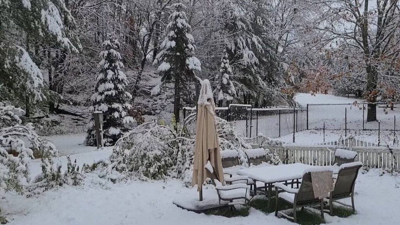 Photo of Outdoor in Bracebridge