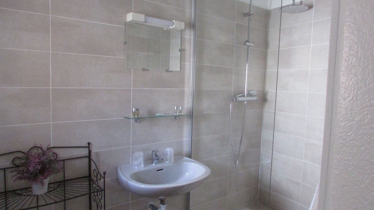Photo of Bathroom in Saint-Victor-de-Malcap