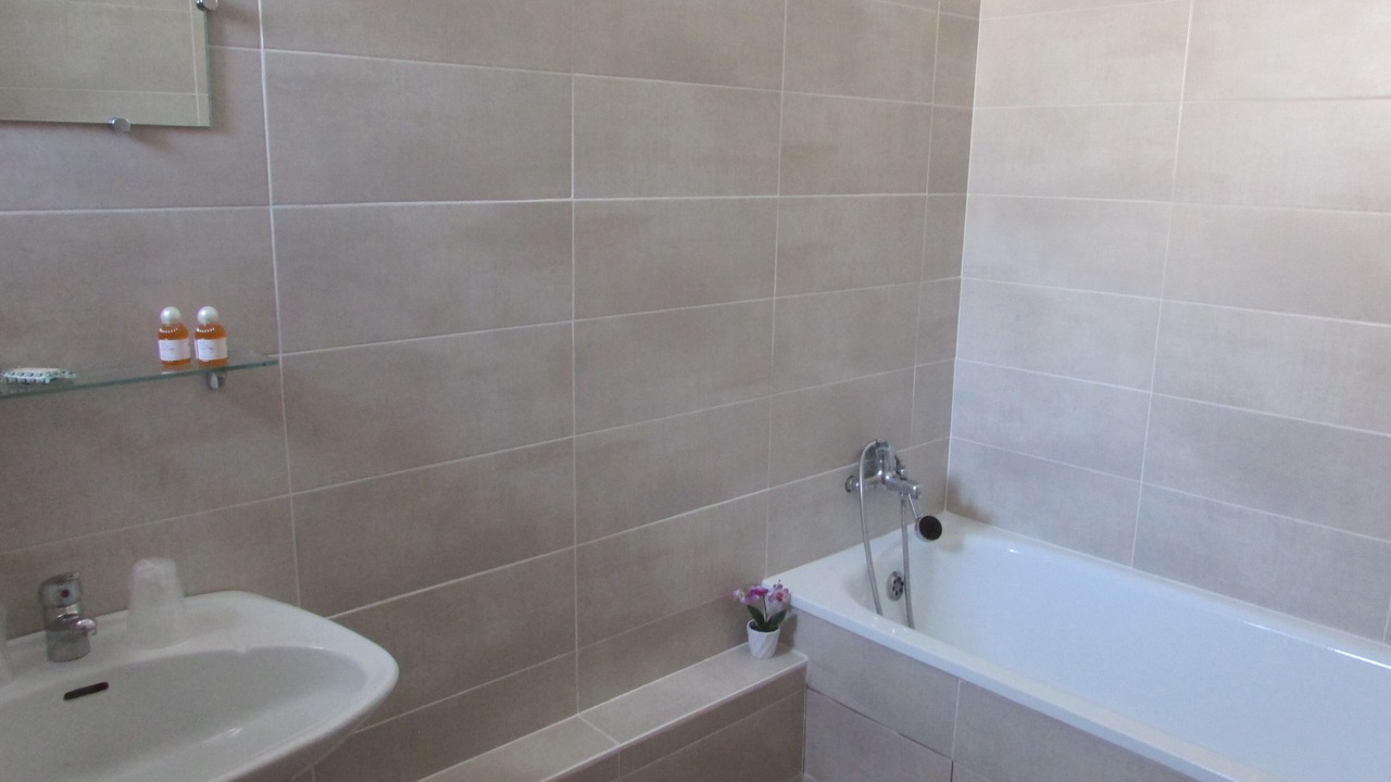 Photo of Bathroom in Saint-Victor-de-Malcap