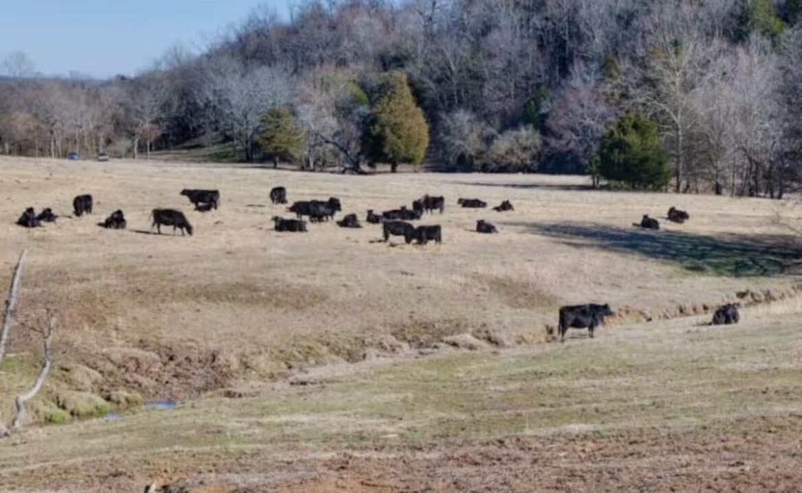 Photo of Others in Lewisburg
