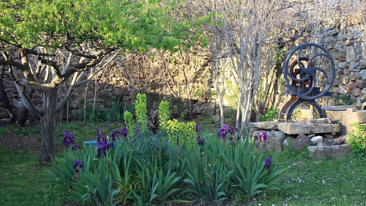 Photo of Outdoor in La Bruguiere