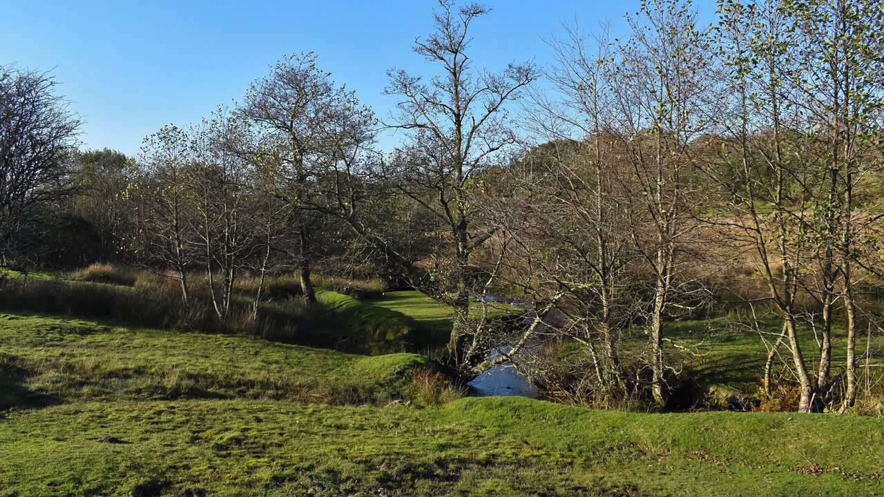 Photo of Others in Mary Tavy