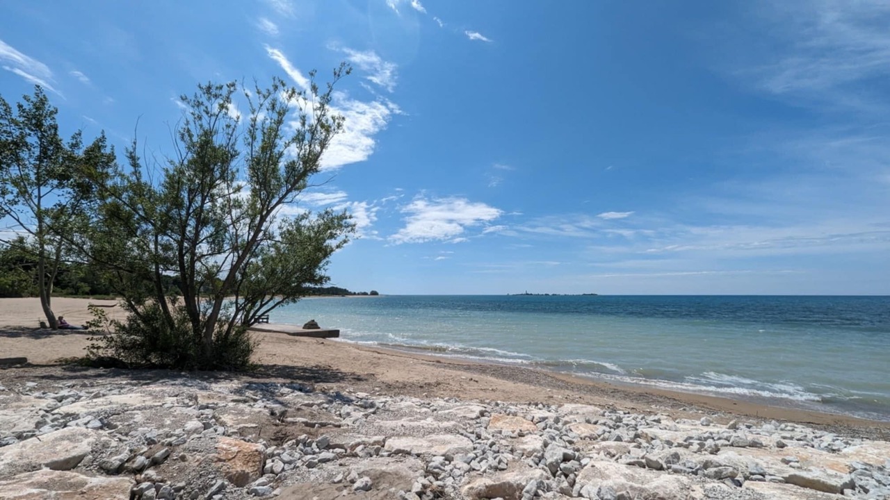 Photo of Others in Wiarton