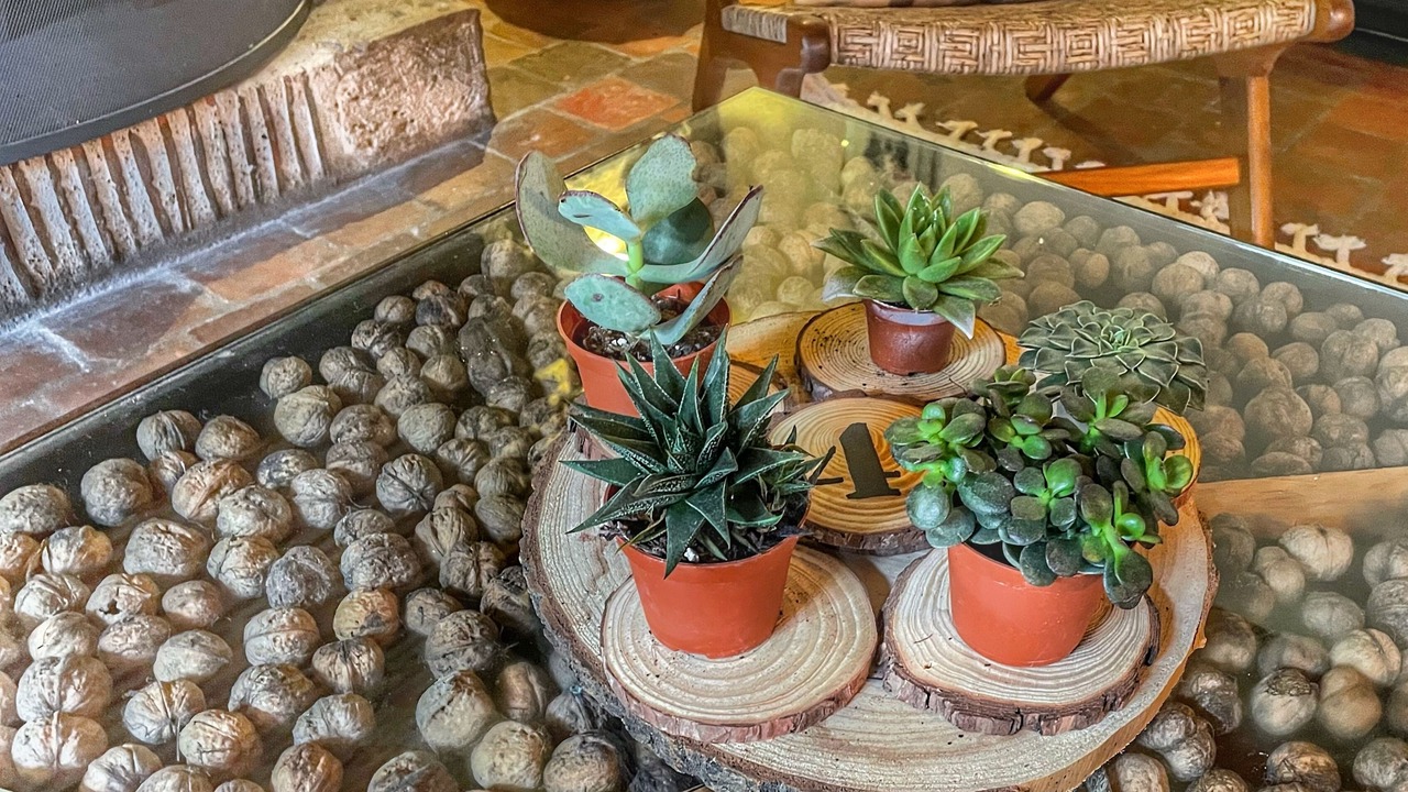 Photo of Others in Saint-Hilaire-Saint-Mesmin