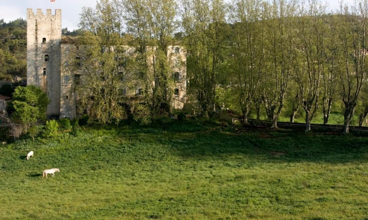 Photo of Others in Esparron-de-Verdon