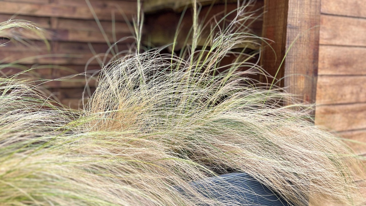 Photo of Outdoor in Etaples