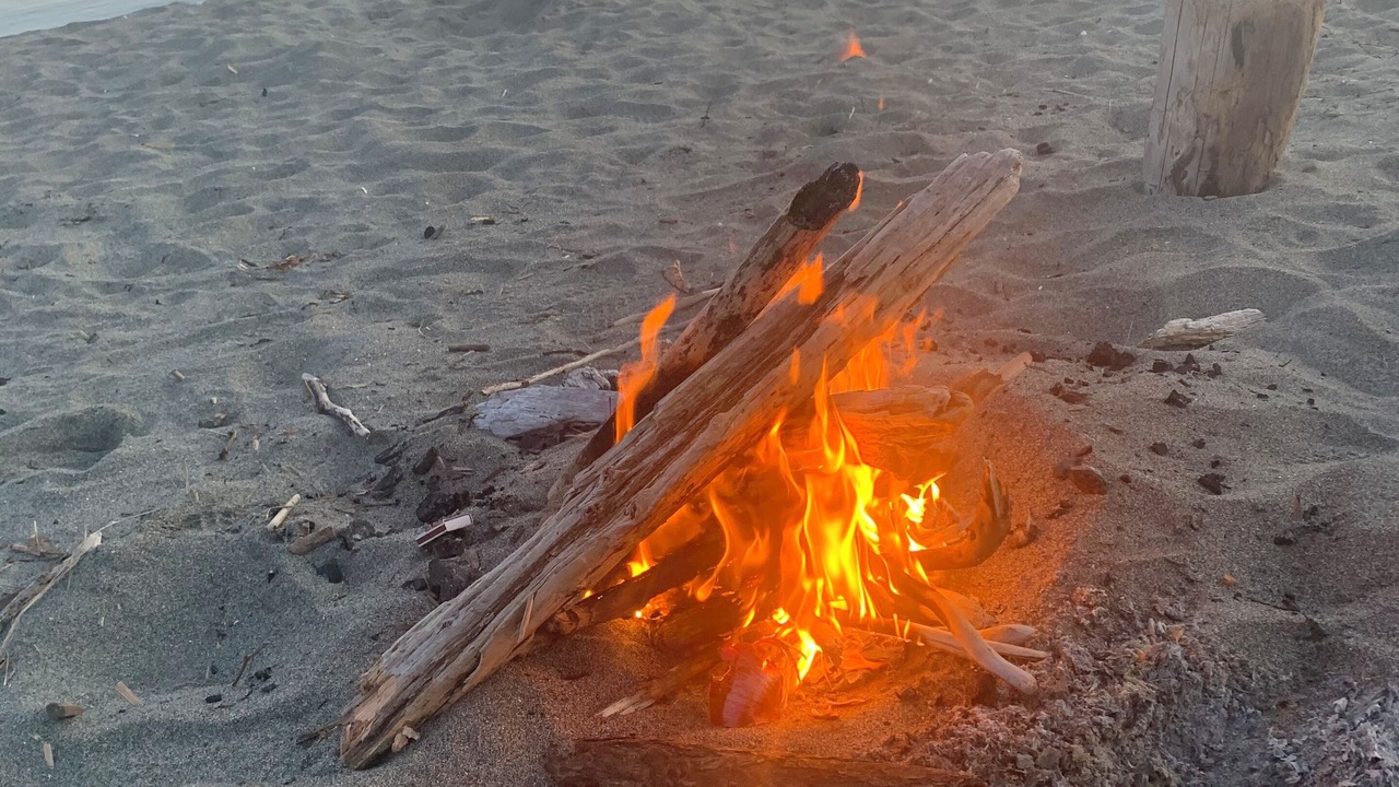 Photo of Others in Freeland