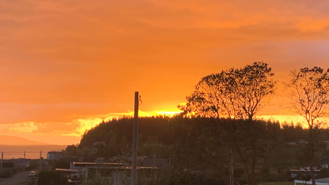 Photo of Others in Freeland