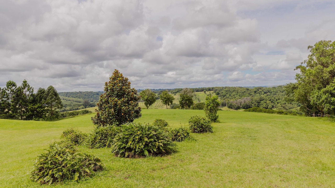 Photo of Others in Eureka