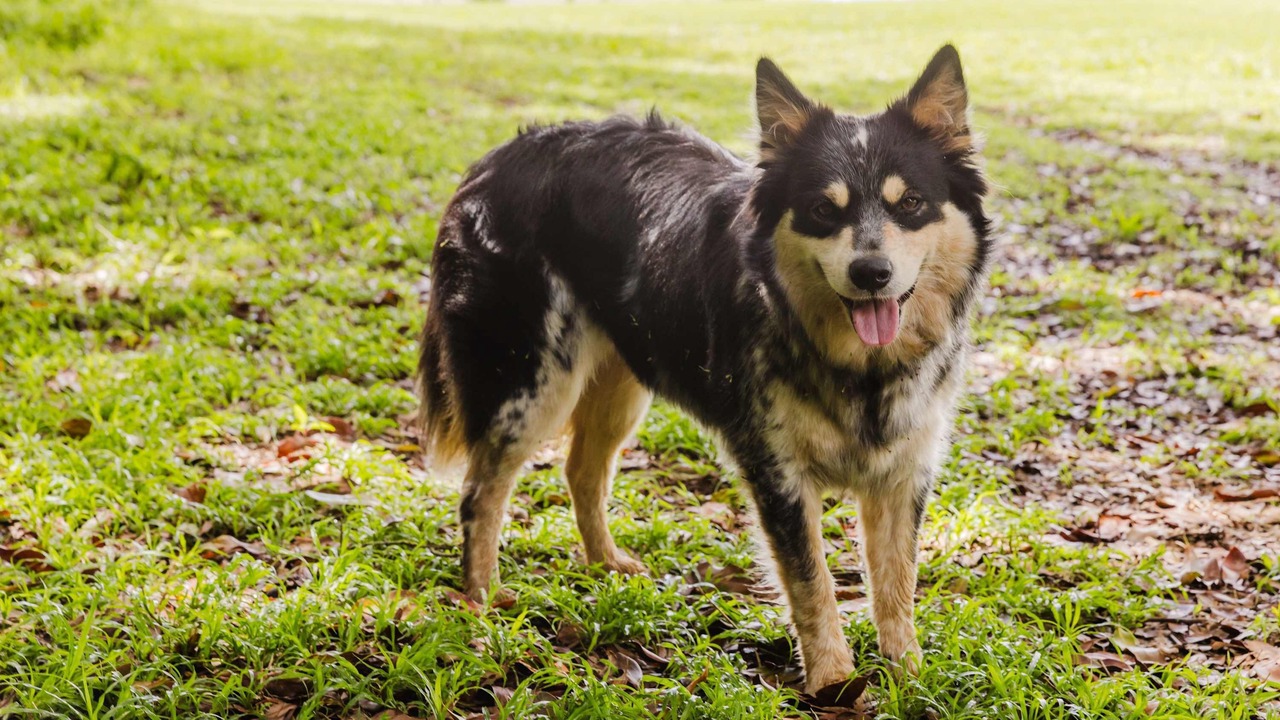 Photo of Outdoor in Eureka