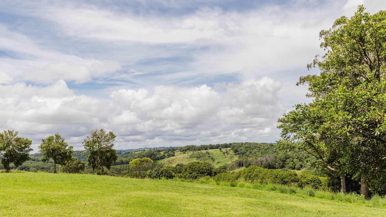 Photo of Others in Eureka