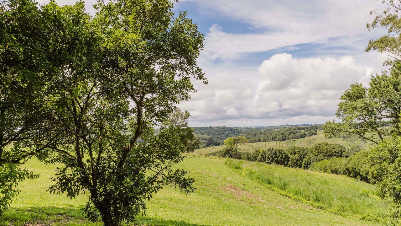 Photo of Others in Eureka