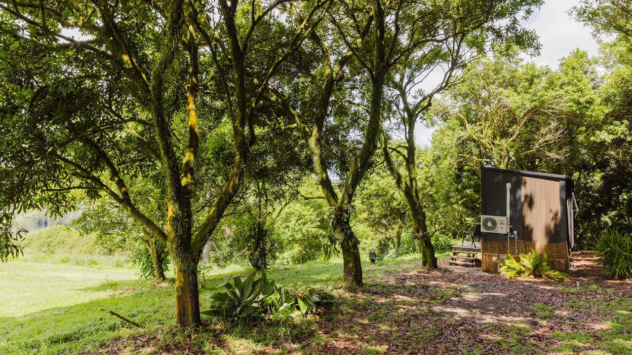 Photo of Outdoor in Eureka