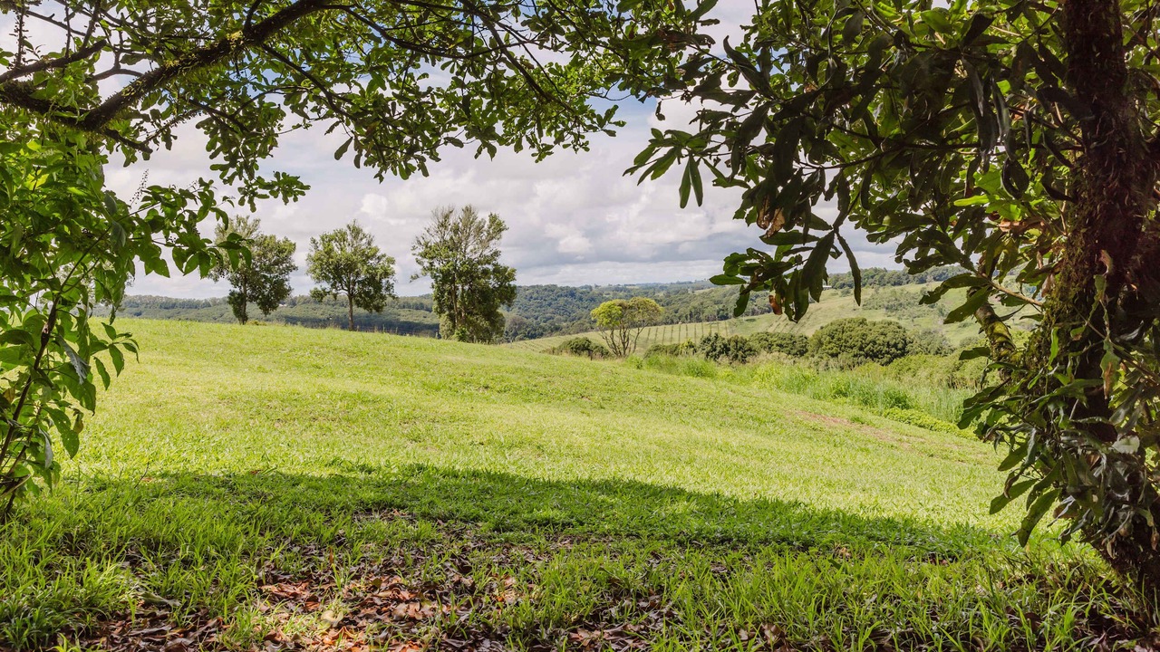 Photo of Others in Eureka