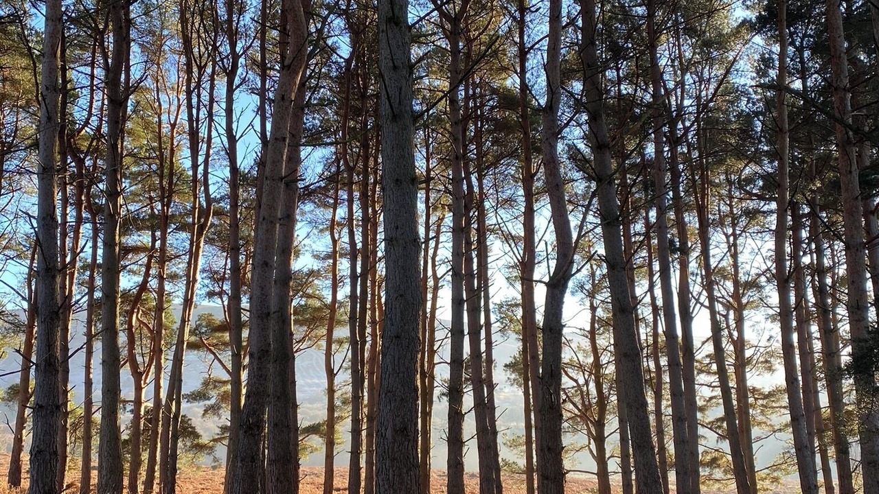 Photo of Others in Llanwrthwl