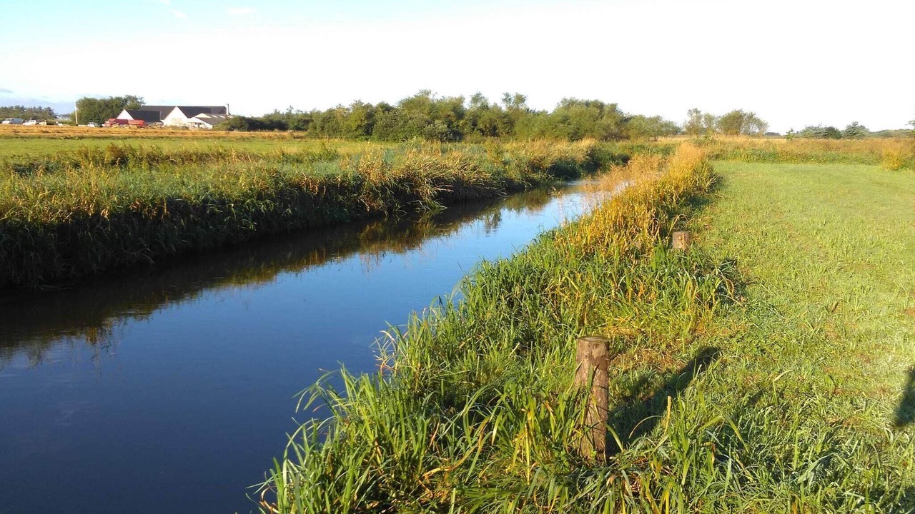 Photo of Others in Ringkobing