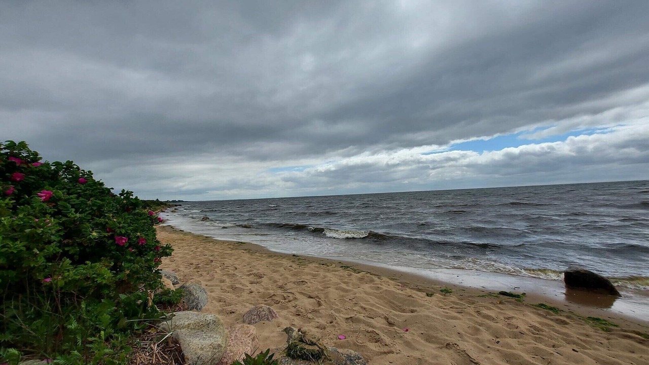 Photo of Others in Ringkobing