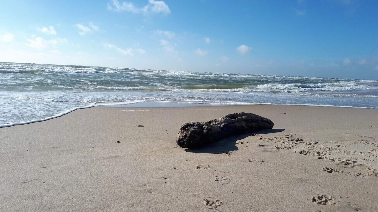 Photo of Others in Ringkobing