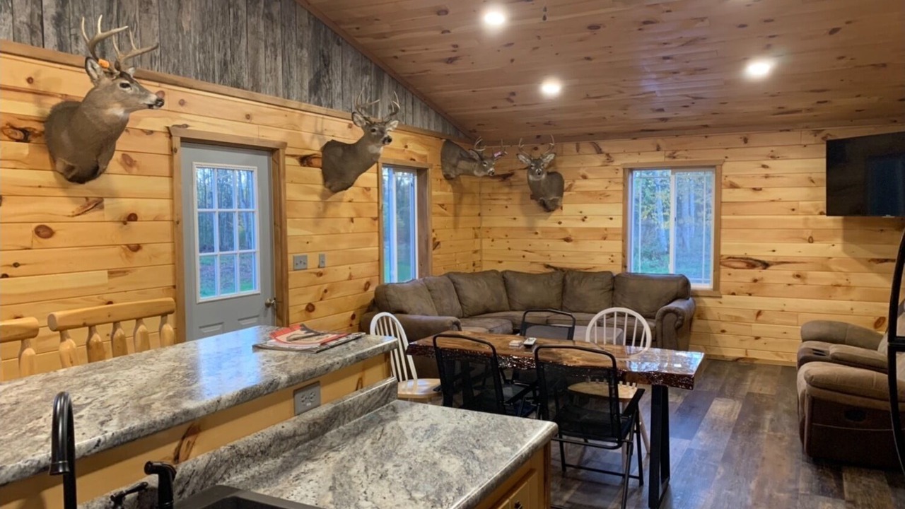 Photo of Livingroom in Germfask