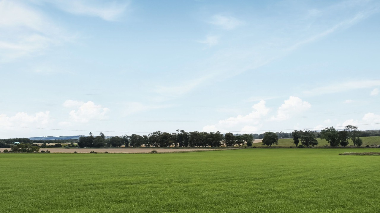 Photo of Others in Memus