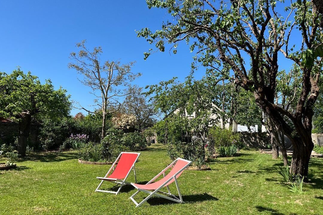 Photo of Outdoor in Amboise