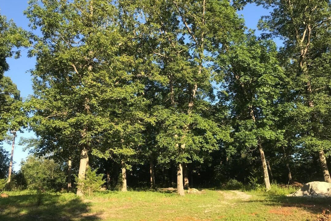 Photo of Others in Ironton