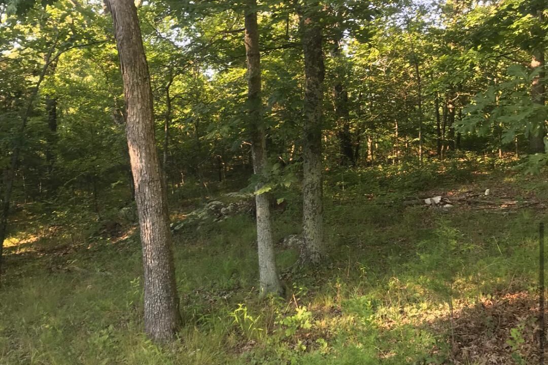 Photo of Others in Ironton