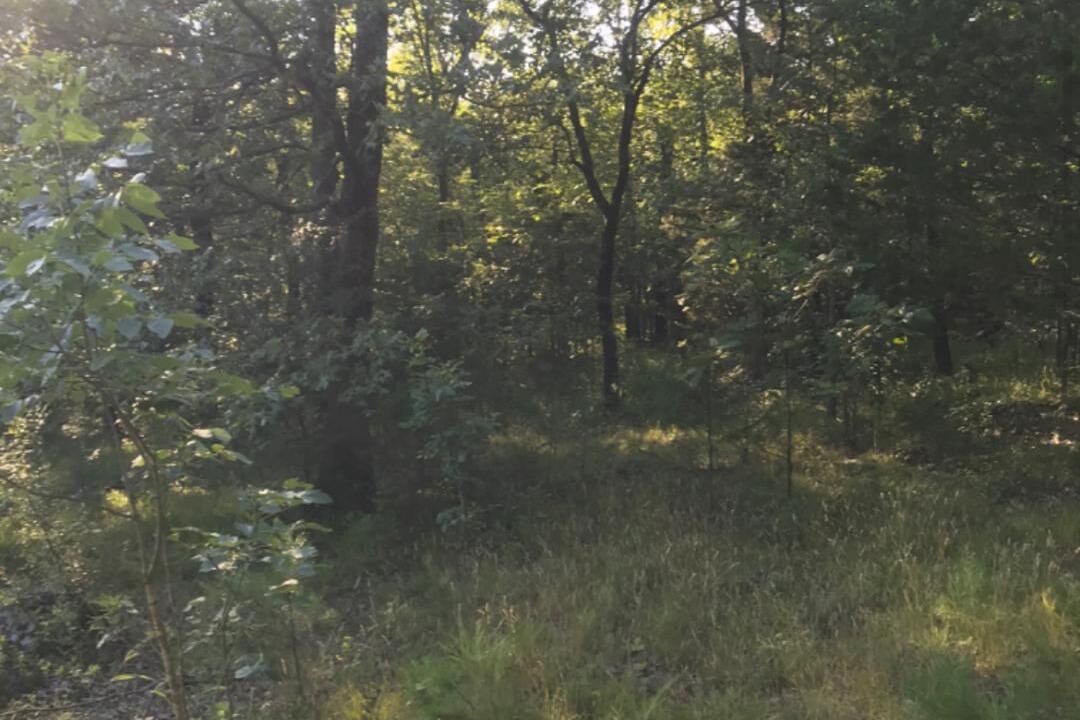 Photo of Others in Ironton