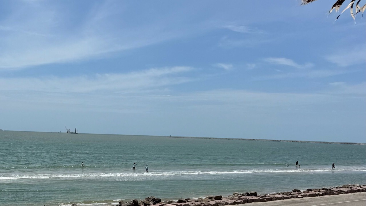 Photo of Others in Surfside Beach