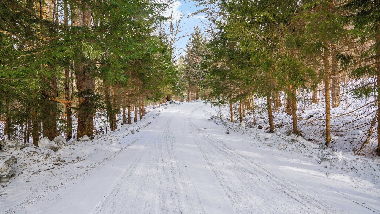 Photo of Others in West Hartford