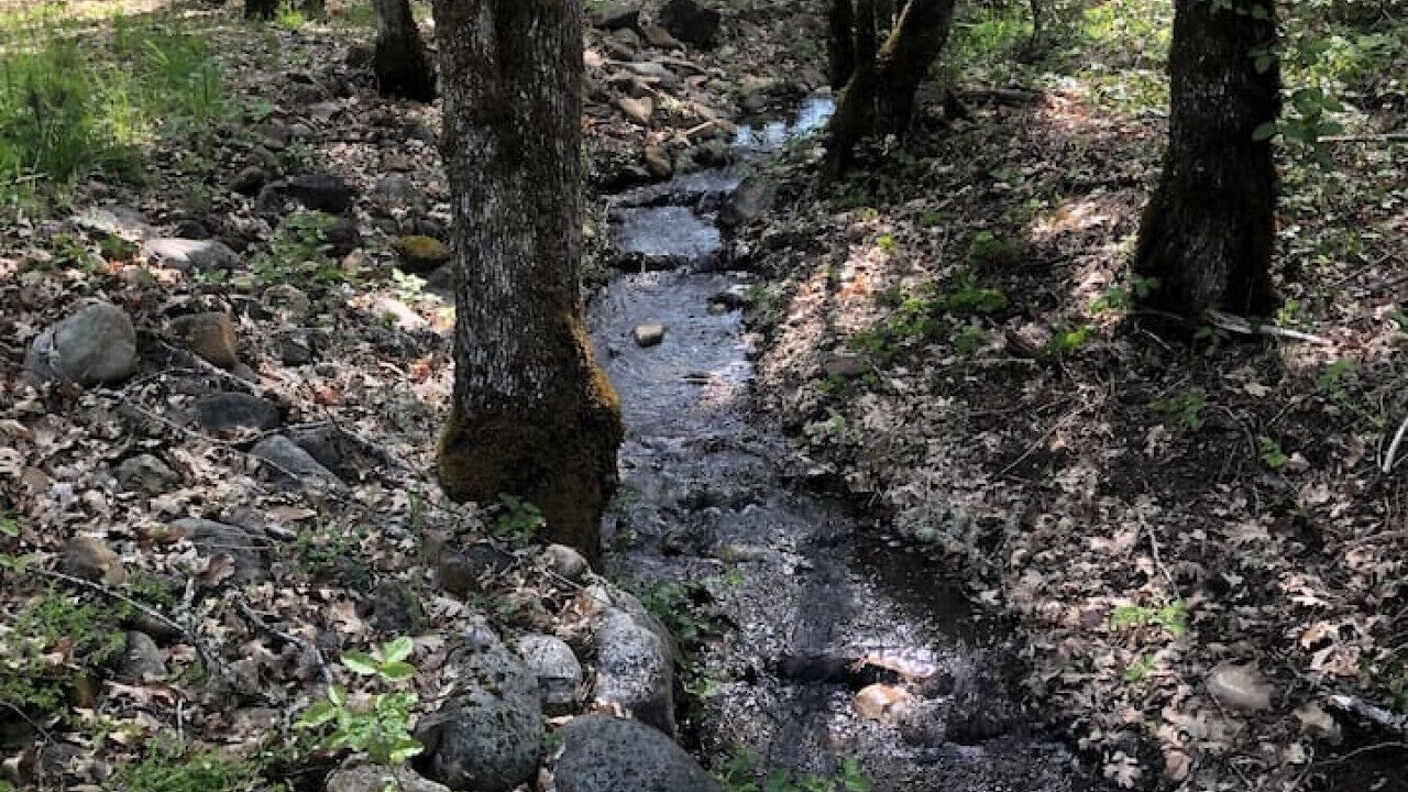 Photo of Others in Cave Junction