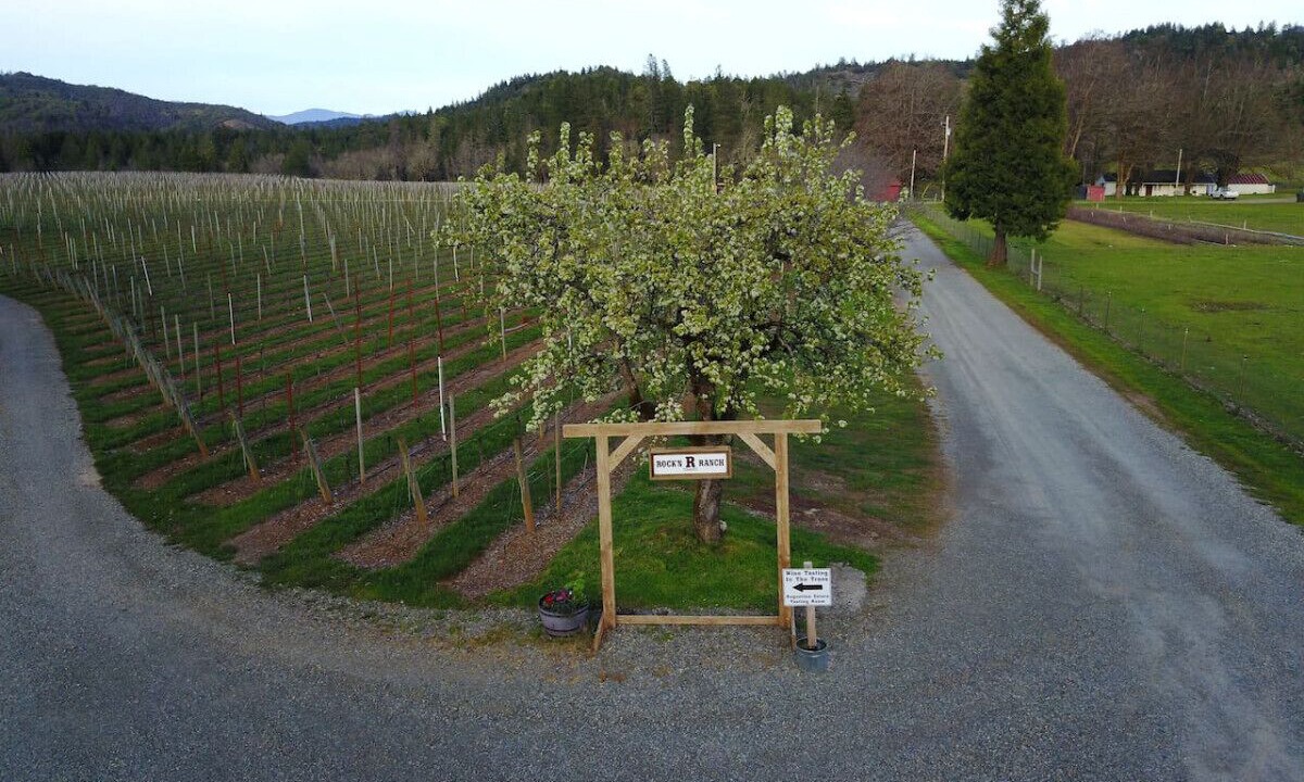 Photo of Others in Cave Junction