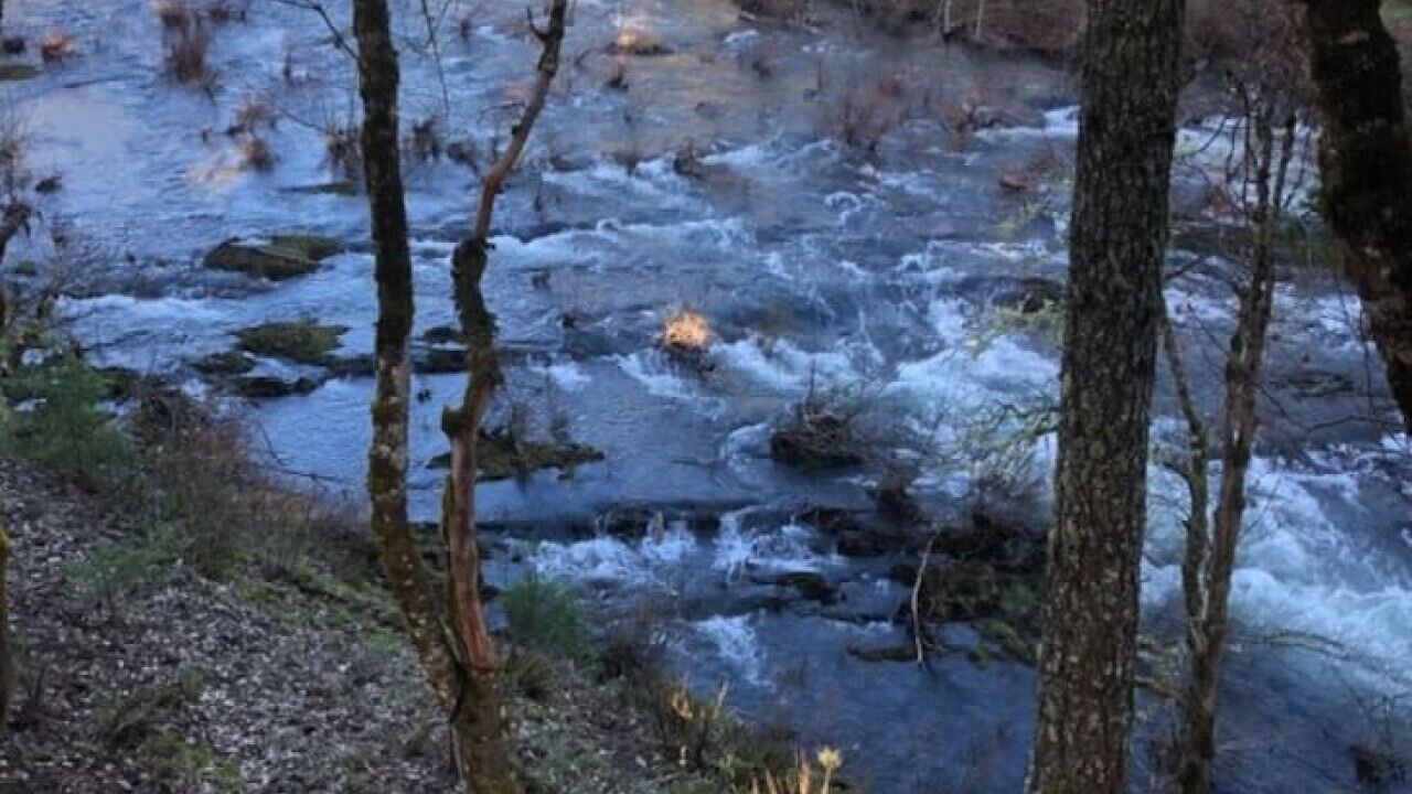 Photo of Others in Cave Junction