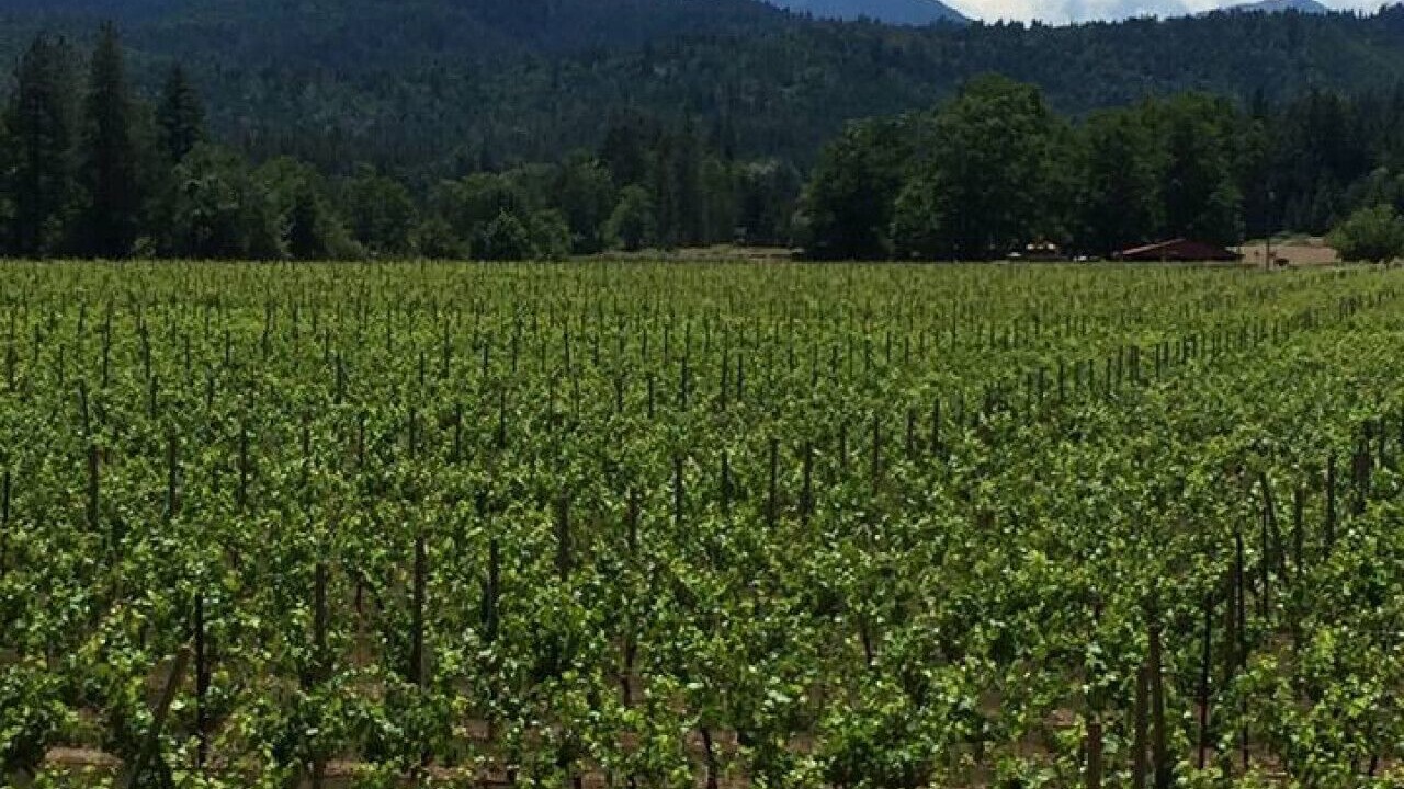 Photo of Others in Cave Junction