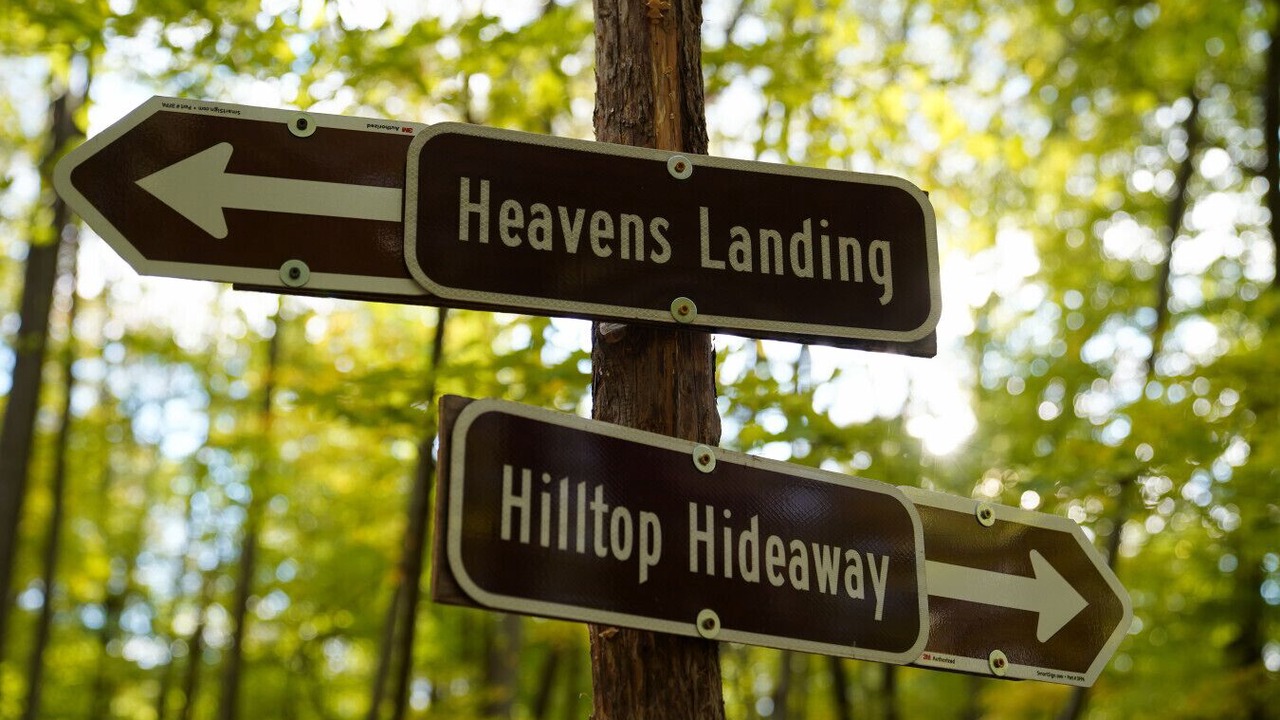 Photo of Others in Vernon