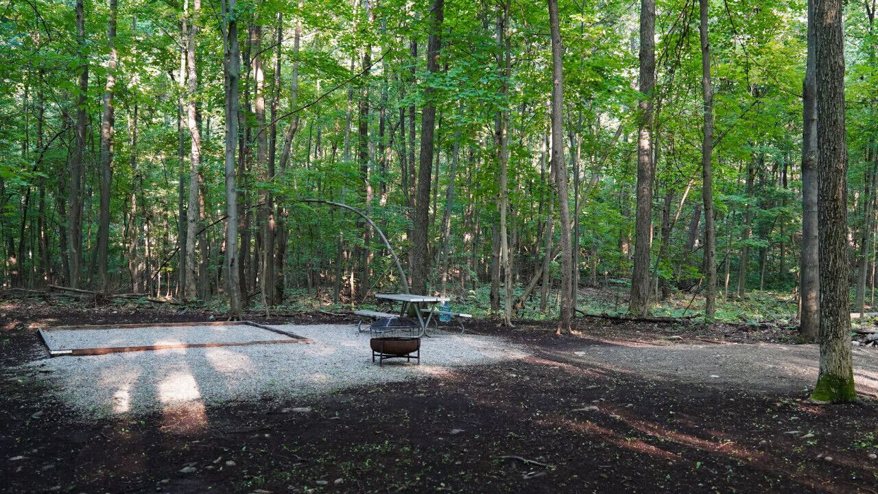 Photo of Outdoor in Vernon