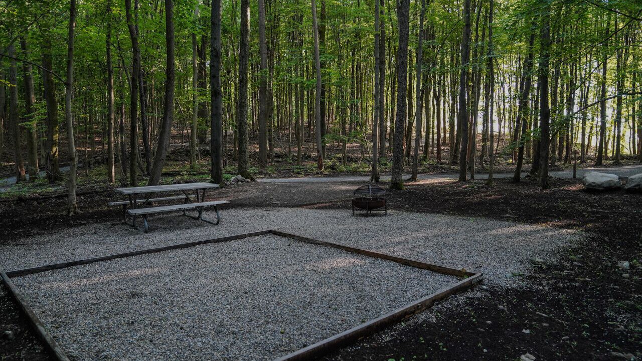 Photo of Outdoor in Vernon