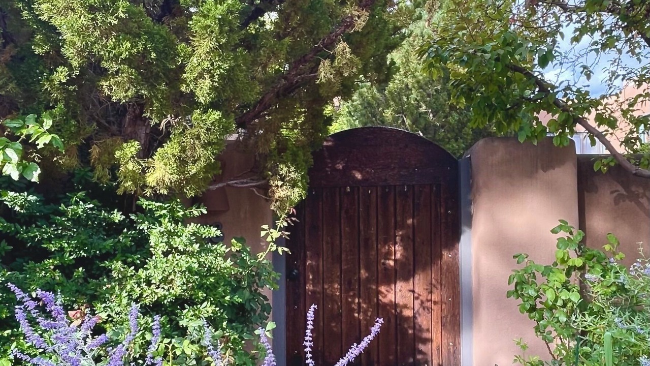 Photo of Outdoor in Casas de San Juan