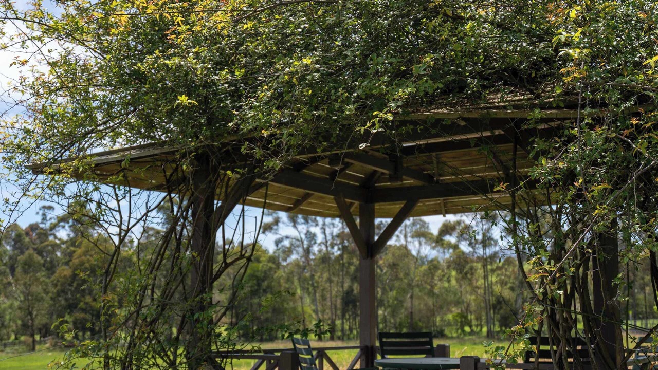 Photo of Outdoor in Labertouche