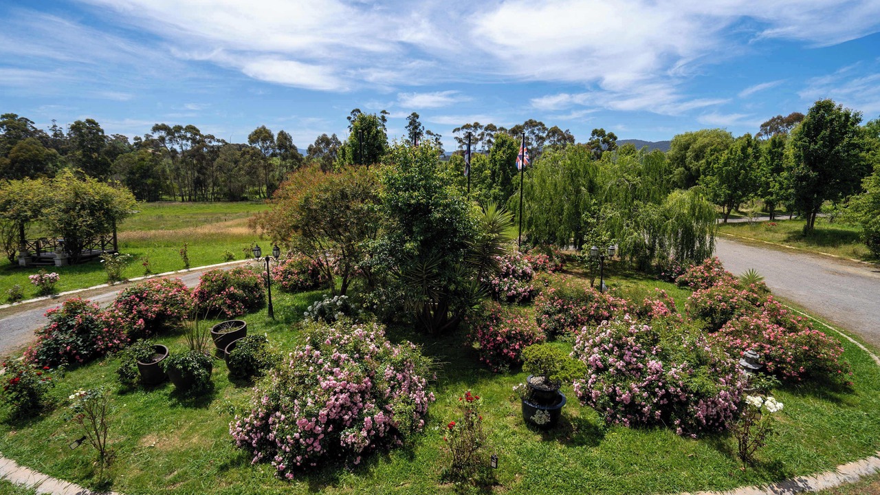 Photo of Outdoor in Labertouche
