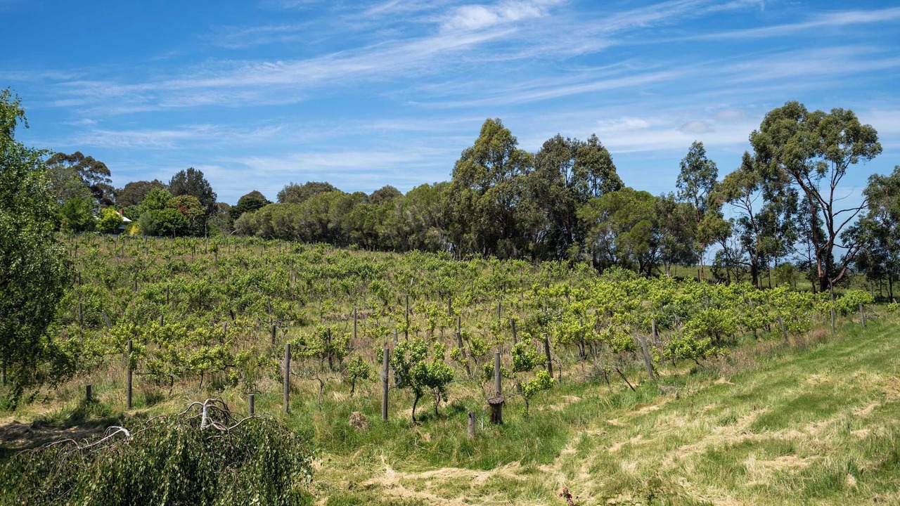 Photo of Others in Labertouche